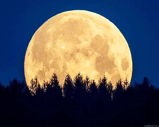 Moon night trees painting by numbers.jpeg