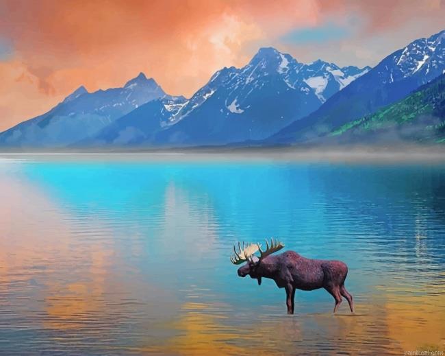 Moose in lake art painting by numbers.jpeg