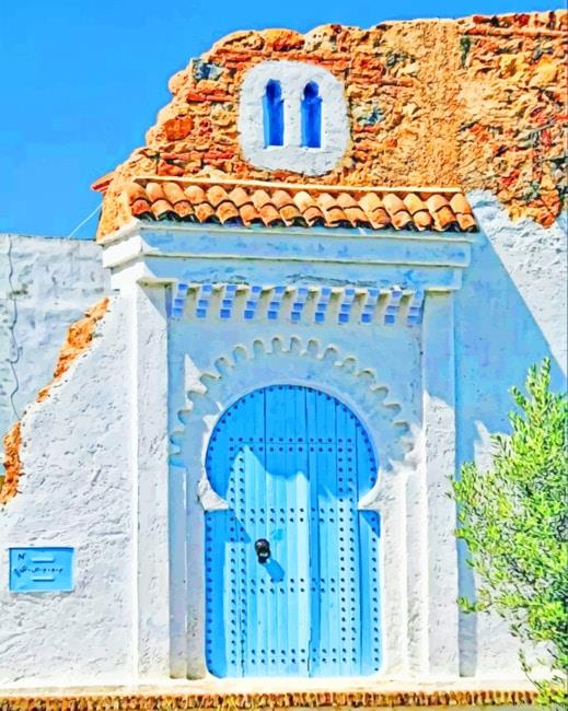 Moroccan traditional door new painting by numbers.jpeg