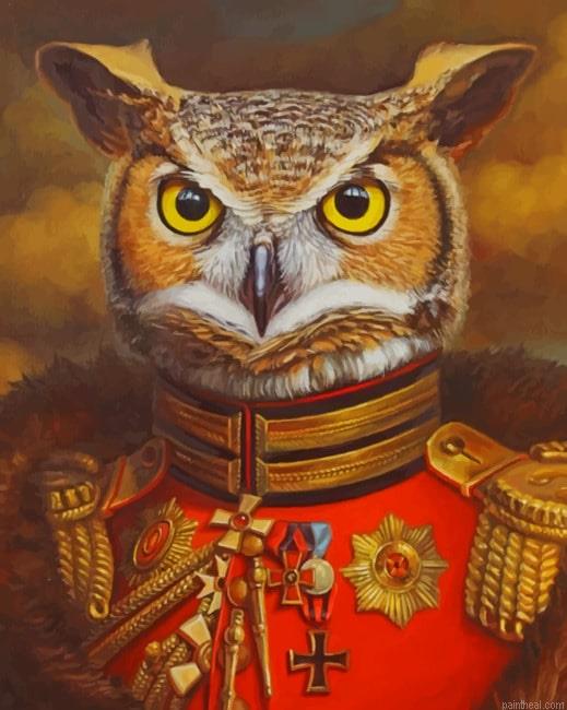 Mr owl new painting by numbers.jpeg