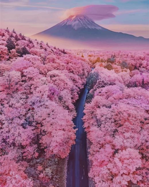 Mt fuji with cherry blossoms painting by numbers.jpeg