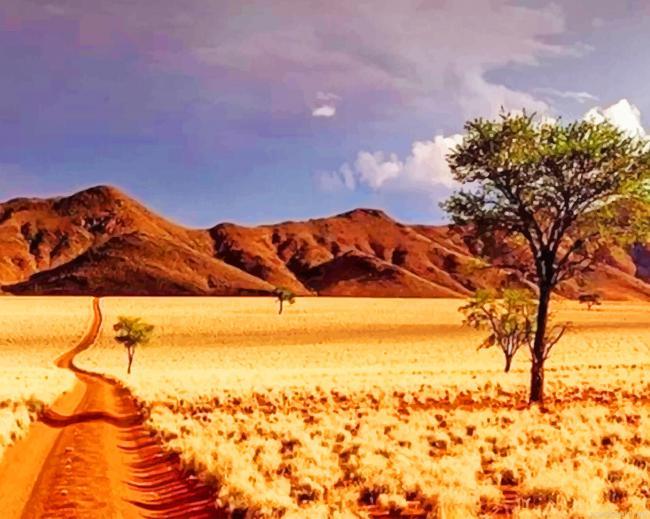 Namibrand nature painting by numbers.jpeg