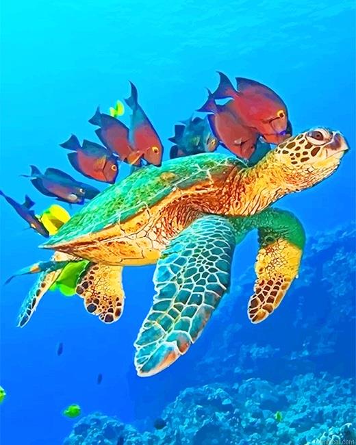 Ocean world painting by numbers.jpeg