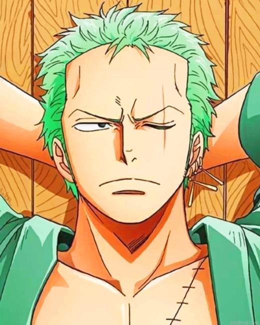 One piece zoro new painting by numbers.jpeg