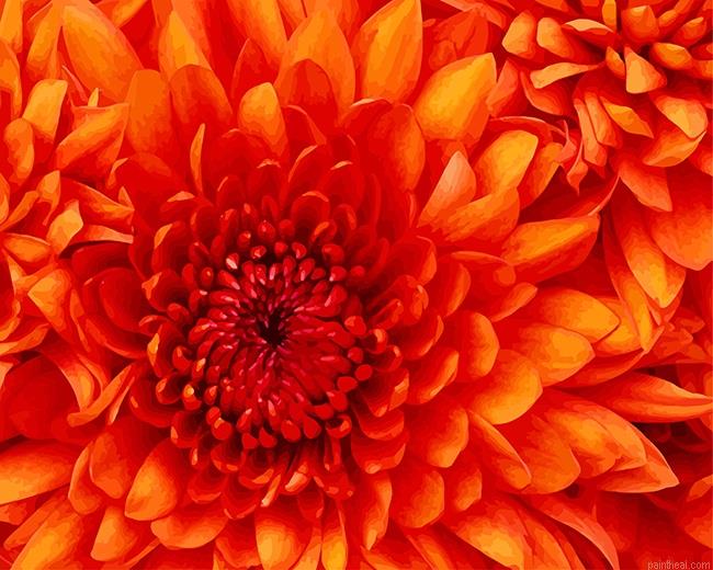 Orange flower painting by numbers.jpeg