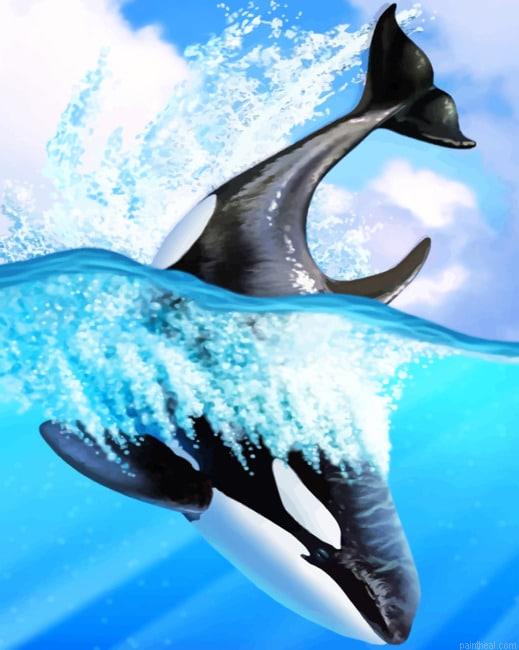 Orca whale art new painting by numbers.jpeg