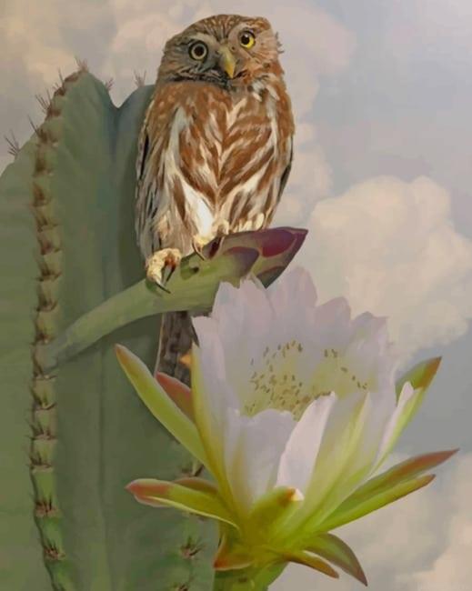 Owl and cactus new painting by numbers.jpeg
