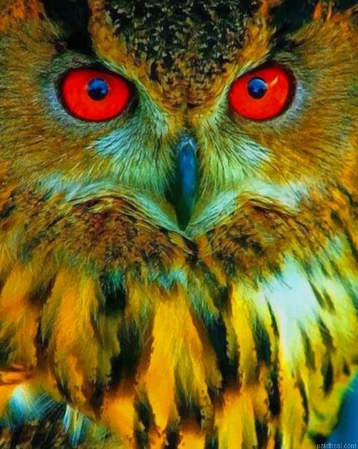 Owl with red eyes painting by numbers.jpeg