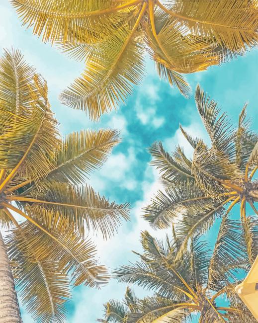 Palms photography painting by numbers.jpeg