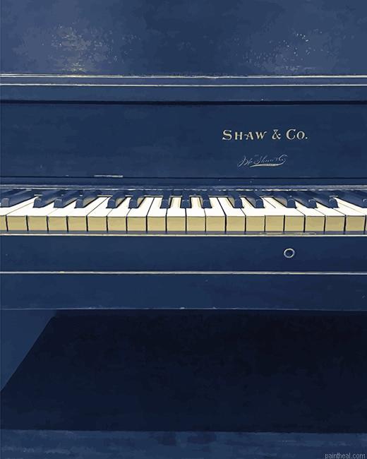 Piano shaw painting by numbers.jpeg