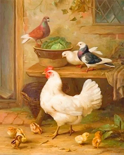 Pigeon and chicken painting by numbers.jpeg