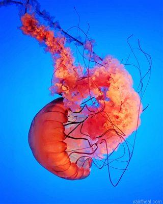 Pink jellyfish art painting by numbers.jpeg