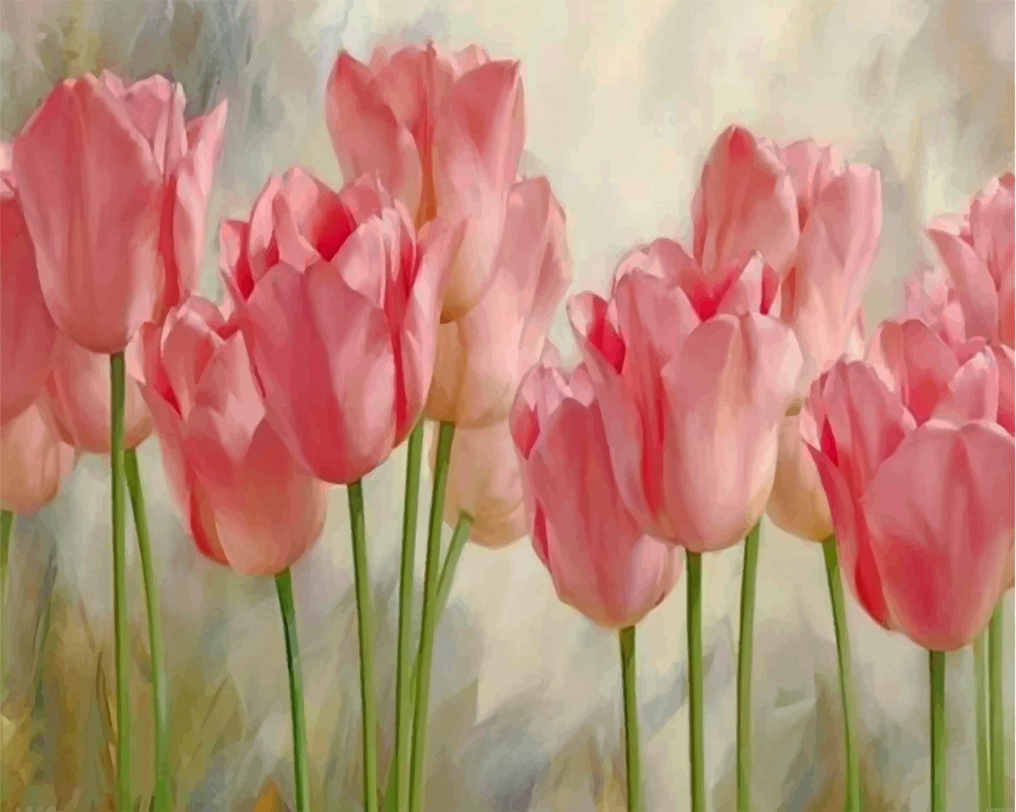 Pink tulips painting by numbers.jpeg