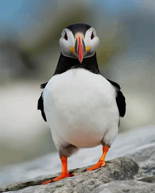 Puffin funny painting by numbers.jpeg