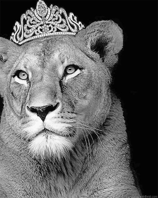 Queen lioness painting by numbers.jpeg