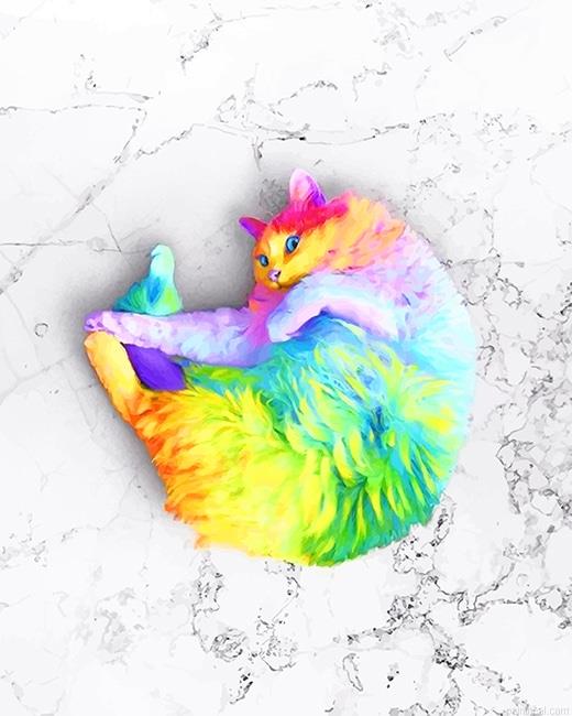 Rainbow cat art painting by numbers.jpeg