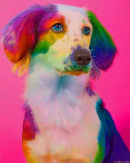Rainbow dog painting by numbers.jpeg
