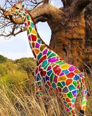 Rainbow giraffe painting by numbers.jpeg
