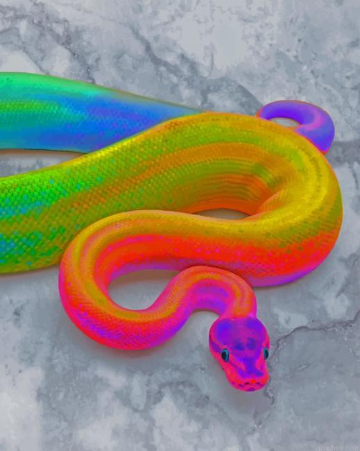 Rainbow python snake painting by numbers.jpeg