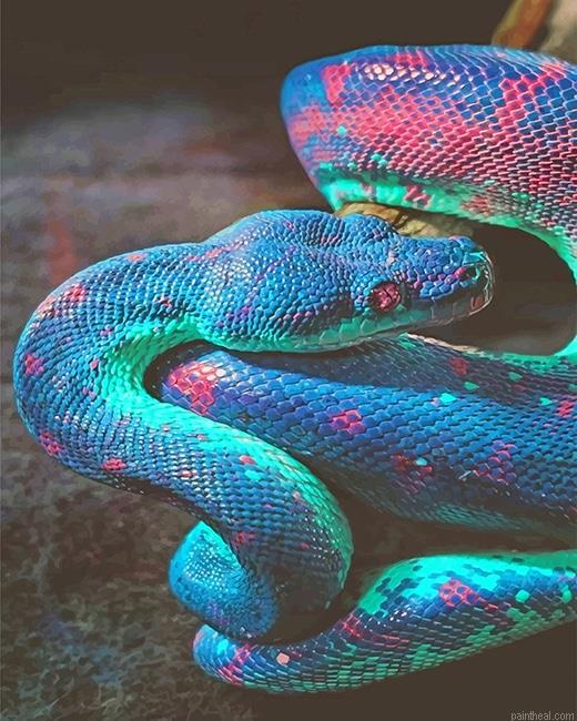 Rainbow snake painting by numbers.jpeg