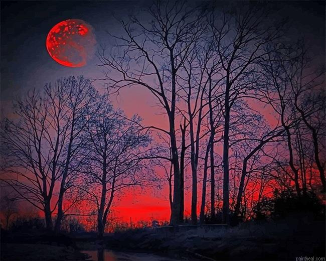 Red forest silhouette painting by numbers.jpeg