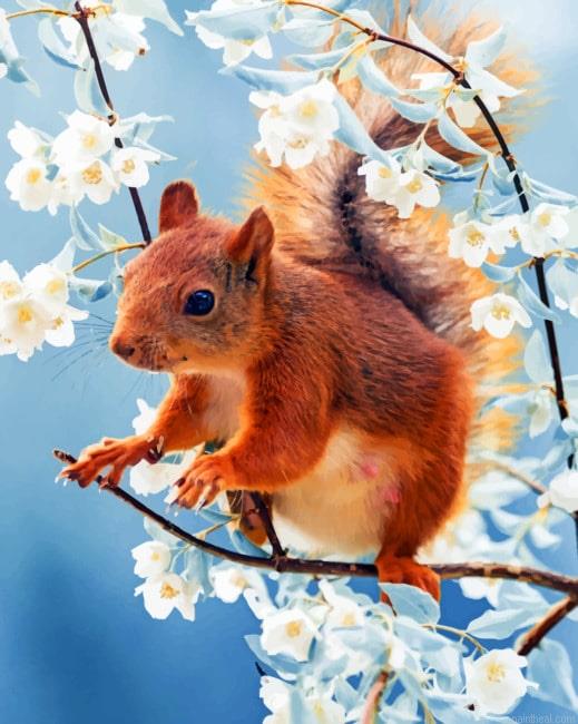 Red squirrel with flowers animals painting by numbers.jpeg