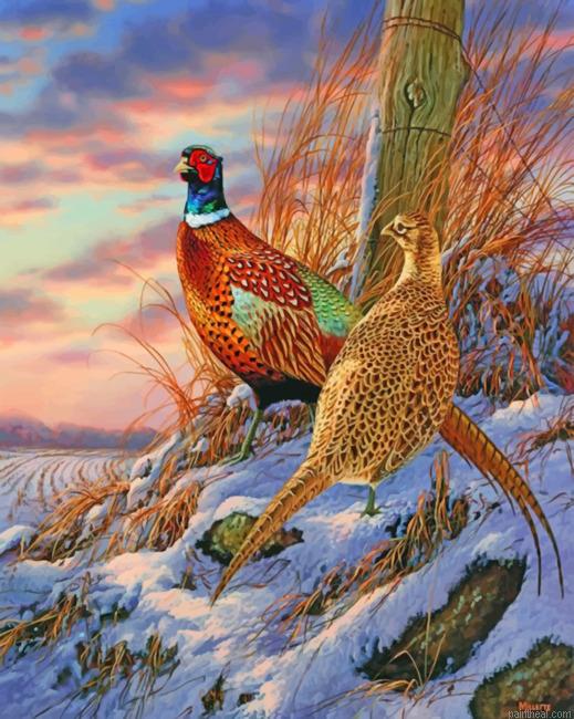Ring necked pheasant painting by numbers.jpeg