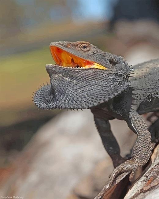 Scary bearded dragon painting by numbers.jpeg