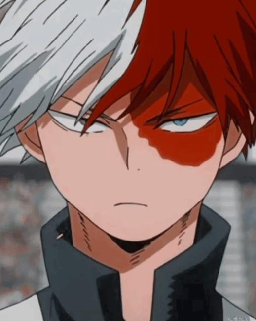 Shoto todoroki anime new painting by numbers.jpeg
