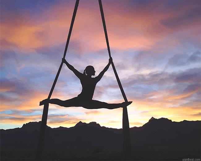 Silhouette aerialist painting by numbers.jpeg