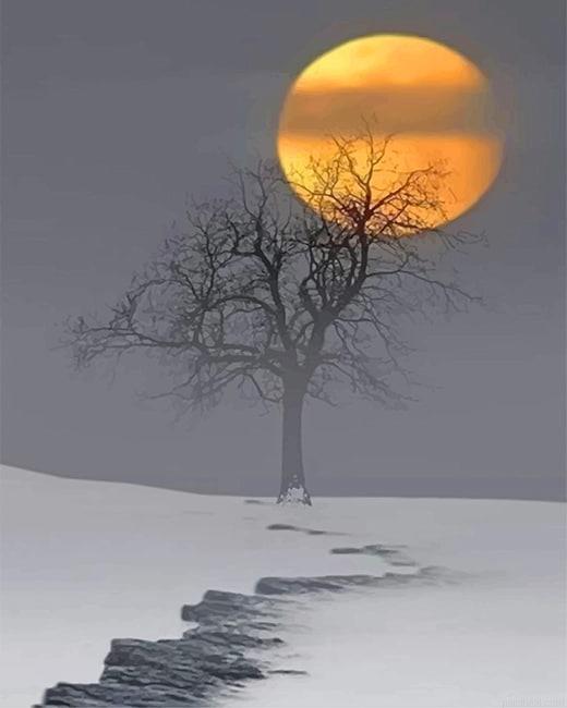 Snow moon painting by numbers.jpeg