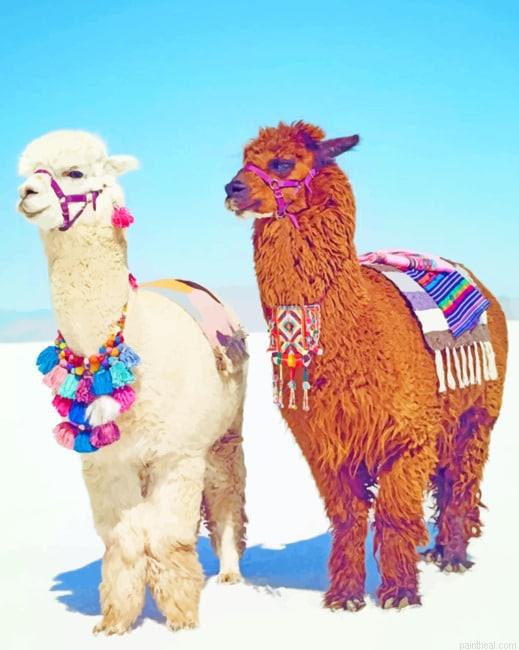 Stylish alpacas new painting by numbers.jpeg