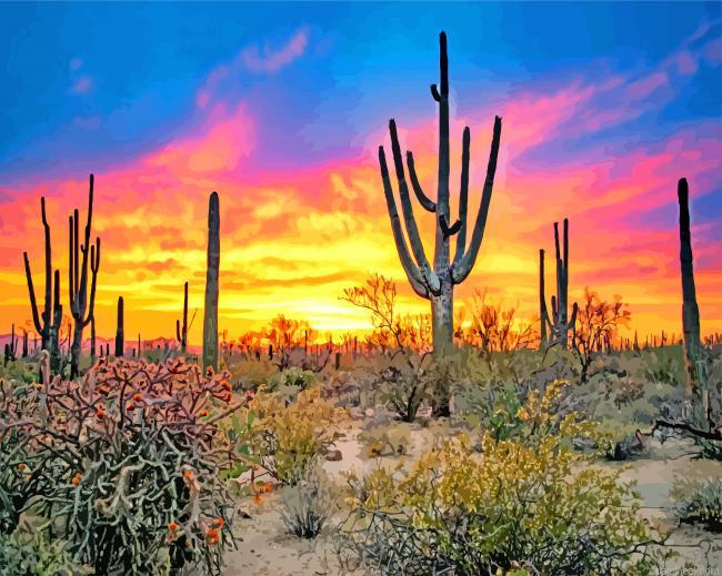 Sunset saguaro national park tucson painting by numbers.jpeg