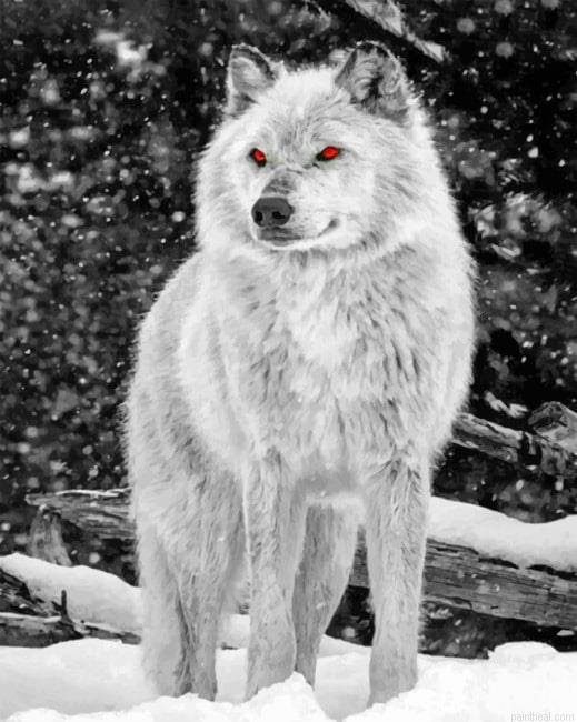 The angelic wolf new painting by numbers.jpeg