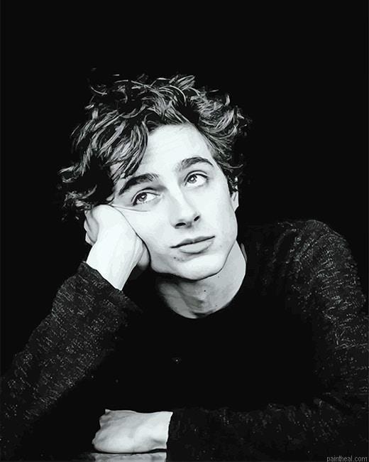 Timothee monochrome painting by numbers.jpeg