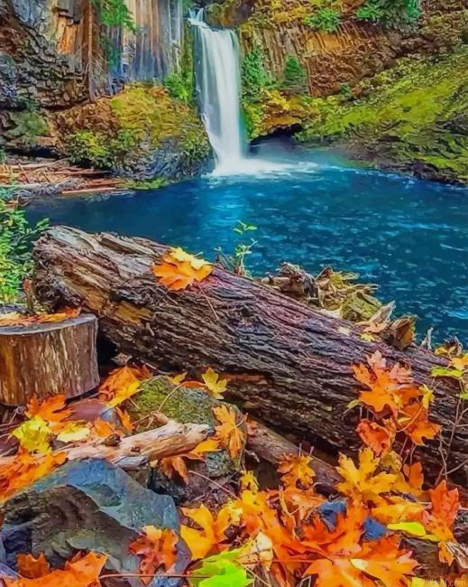 Umpqua national forest waterfalls painting by numbers.jpeg