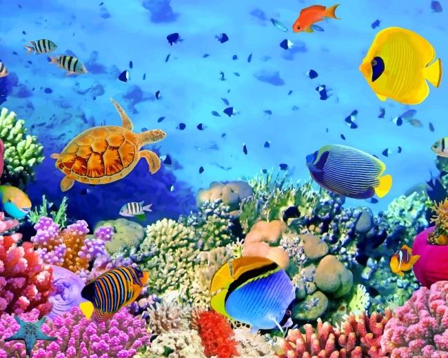 Under water colorful fish painting by numbers.jpeg