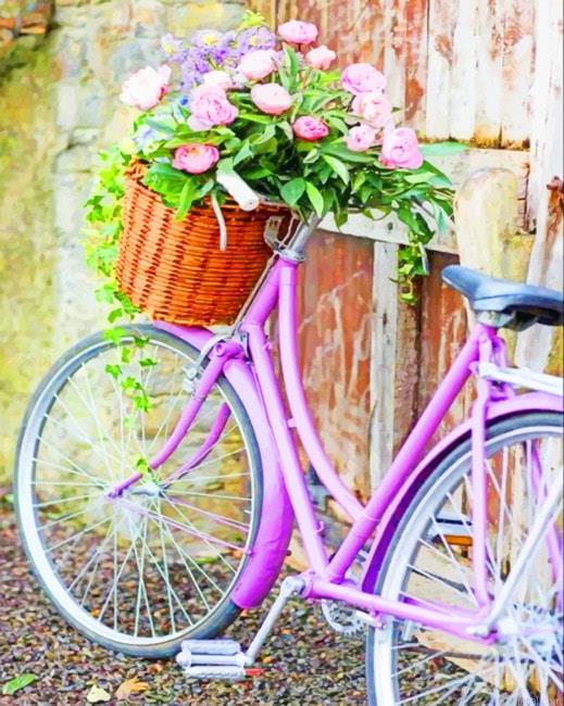 Vintage bike with flower basket painting by numbers.jpeg