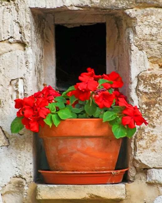 Vintage red flowers painting by numbers.jpeg