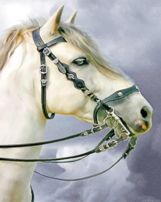 White horse animals painting by numbers.jpeg