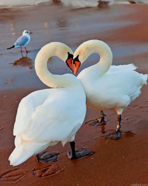 White swans in love painting by numbers.jpeg