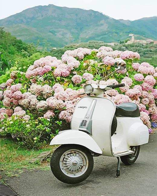 White vespa scooter painting by numbers.jpeg