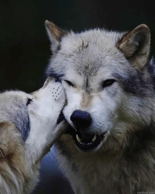 Wolves in love new painting by numbers.jpeg