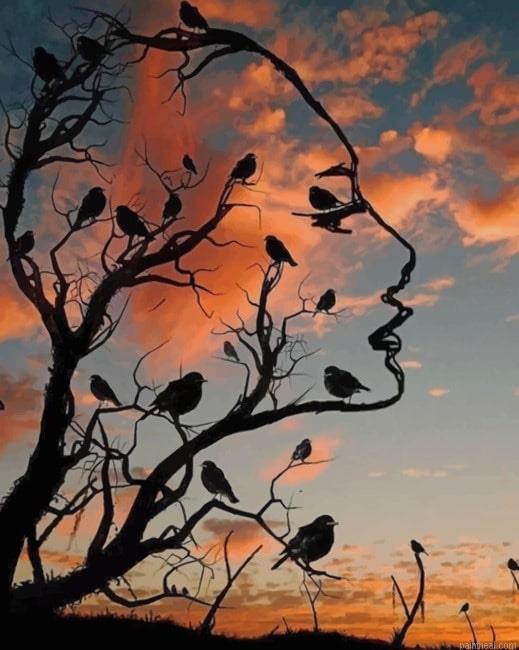 Woman face birds new painting by numbers.jpeg
