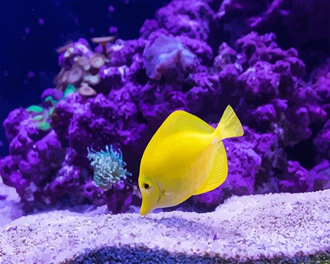 Yellow fish painting by numbers.jpeg