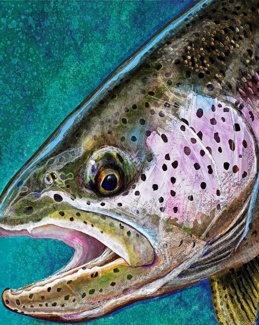 Abstract steelhead fish painting by numbers.jpeg