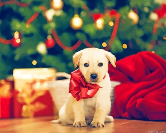 Adorable christmas dog painting by numbers.jpeg