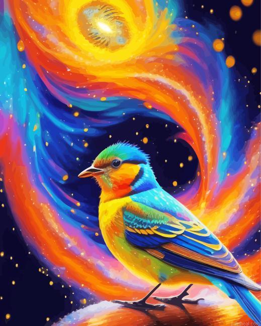 Aesthetic bird starry night painting by numbers.jpeg