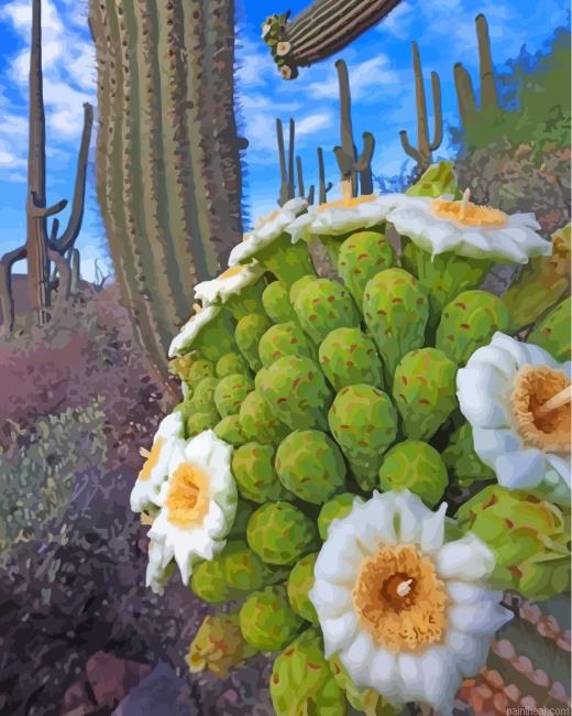 Aesthetic cactus painting by numbers.jpeg