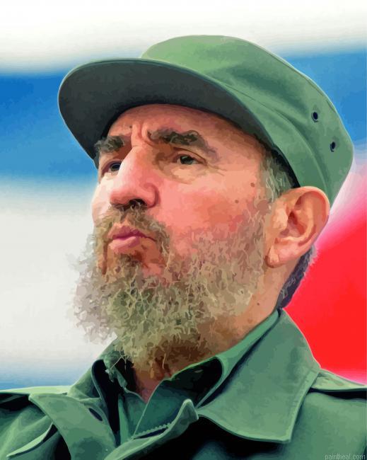Aesthetic castro painting by numbers.jpeg